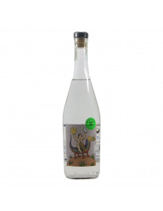 Mezcal Amores Verde Momento Grandi Bottiglie