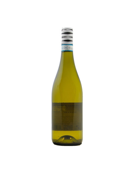 CUSTOM WINE BOTTLE TREBBIANO D'ABRUZZO TERRE VALSE 2019 CANTINA FRENTANA